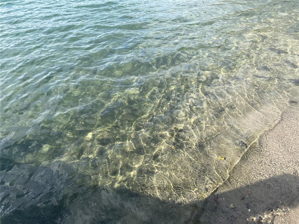 1124 St Anne Shrine Road Lake Wales, FL 33898 - Photo 16 of 50