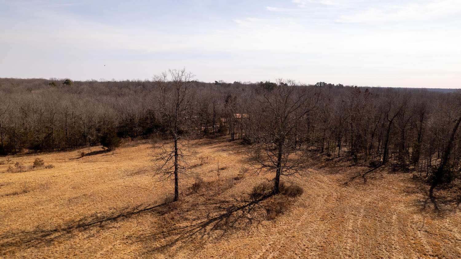 0 Pleasant Run Road Mammoth Spring, AR 72554 - Photo 22 of 35 329 acres 039