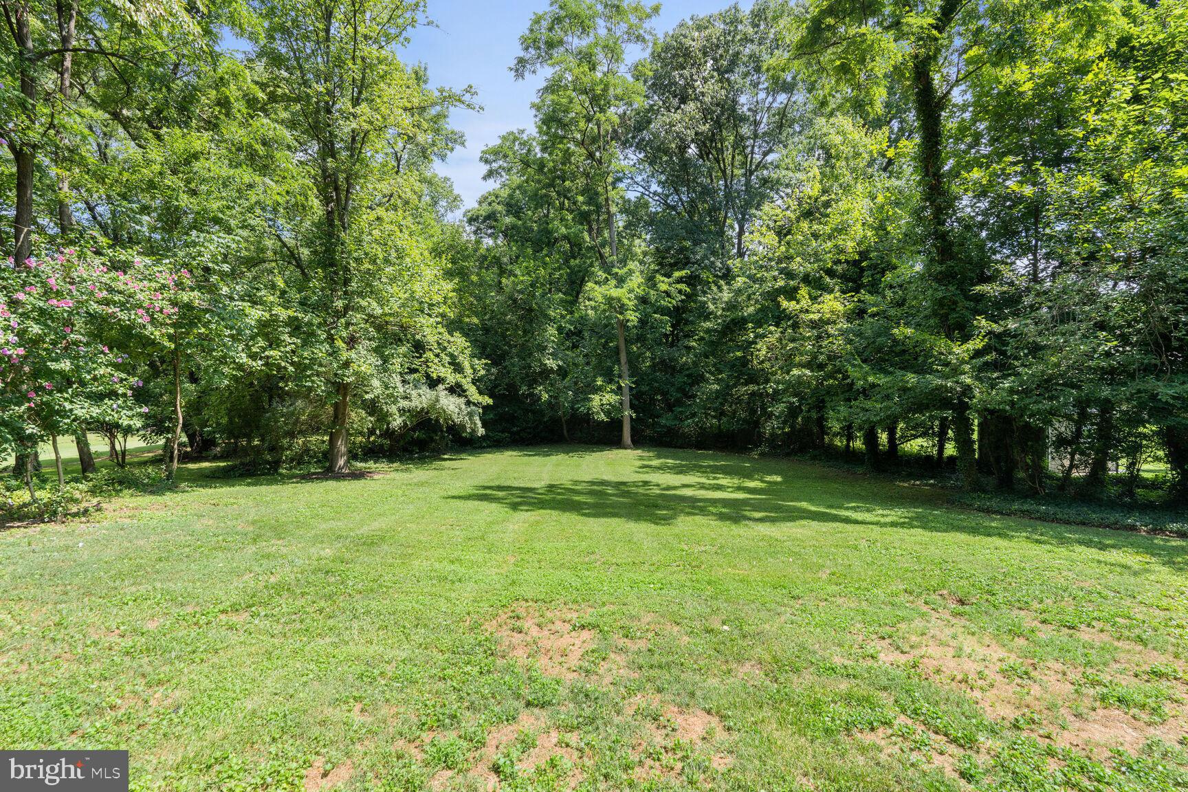 6608 Spring Valley Drive Alexandria, VA 22312 - Photo 27 of 33 Large & Level Backyard