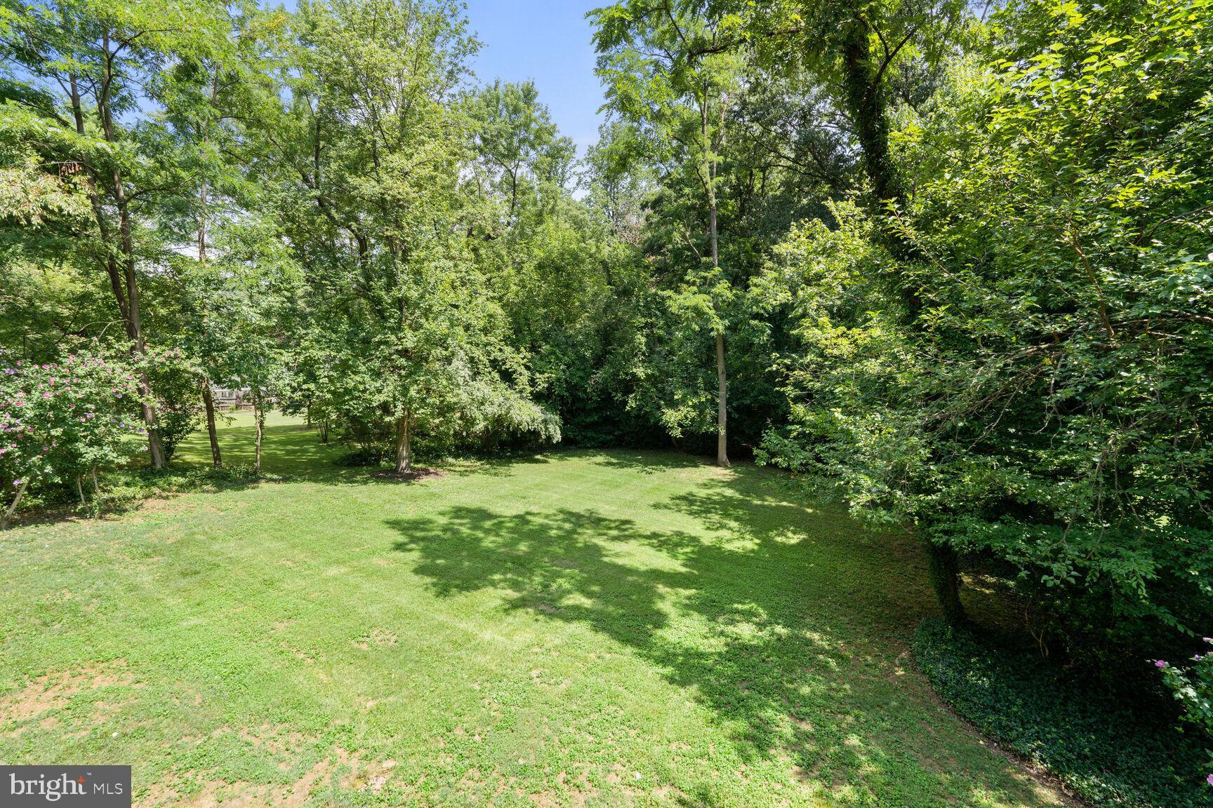 6608 Spring Valley Drive Alexandria, VA 22312 - Photo 29 of 33 Over .5 acres!