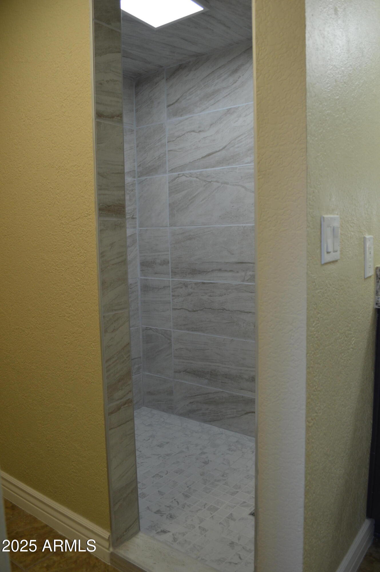 1340 North Recker Road, Unit 254 Mesa, AZ 85205 - Photo 12 of 30 walk in shower