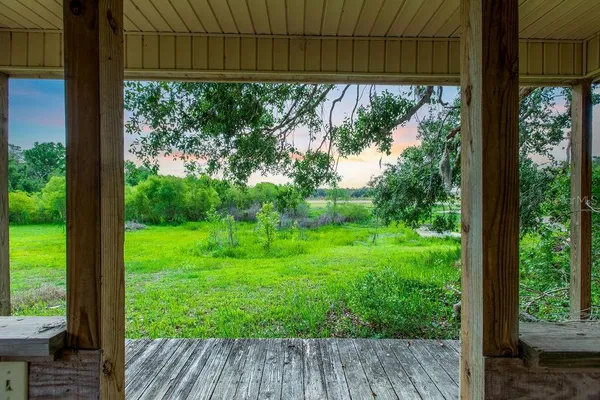 a view of backyard with a small cabin