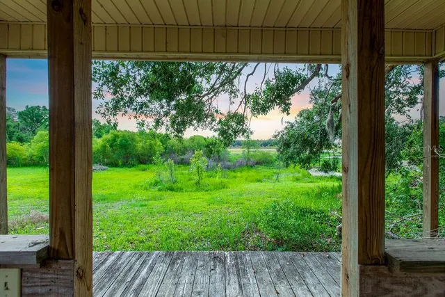 a view of backyard with a small cabin