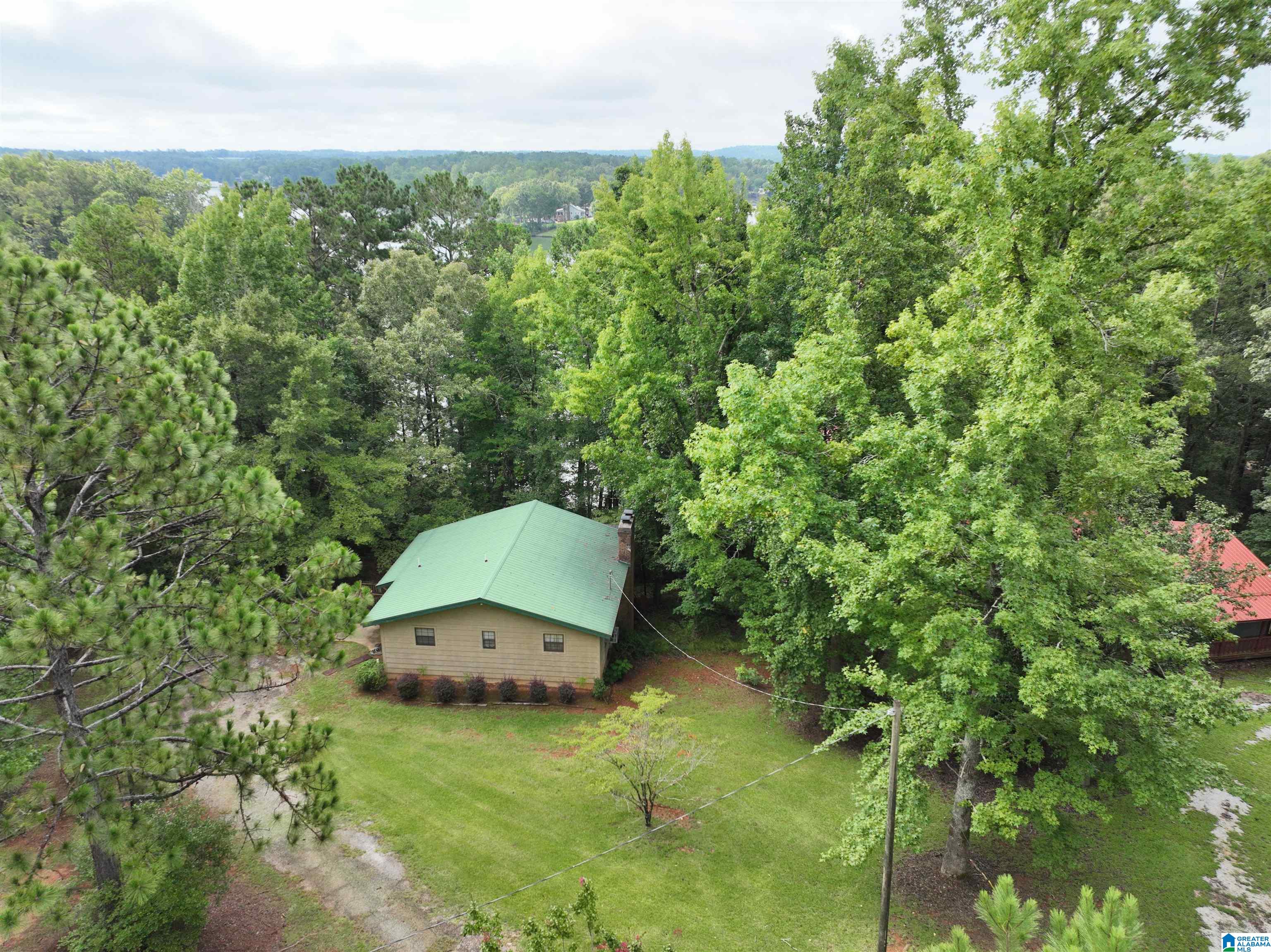 183 Swagg Cove Road Wedowee, AL 36278 - Photo 2 of 20