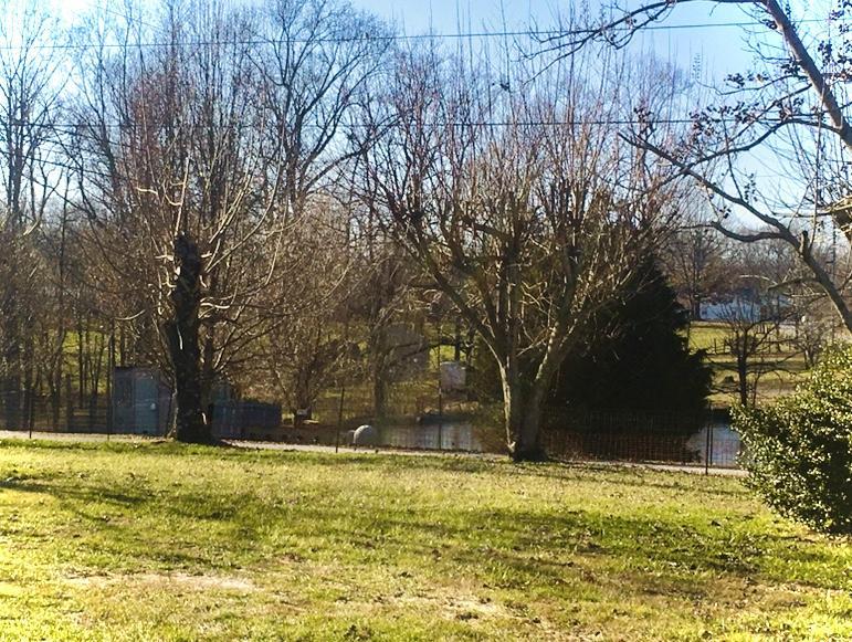 1310 Dry Ridge Road Liberty, KY 42539 - Photo 5 of 10 IMG_6189