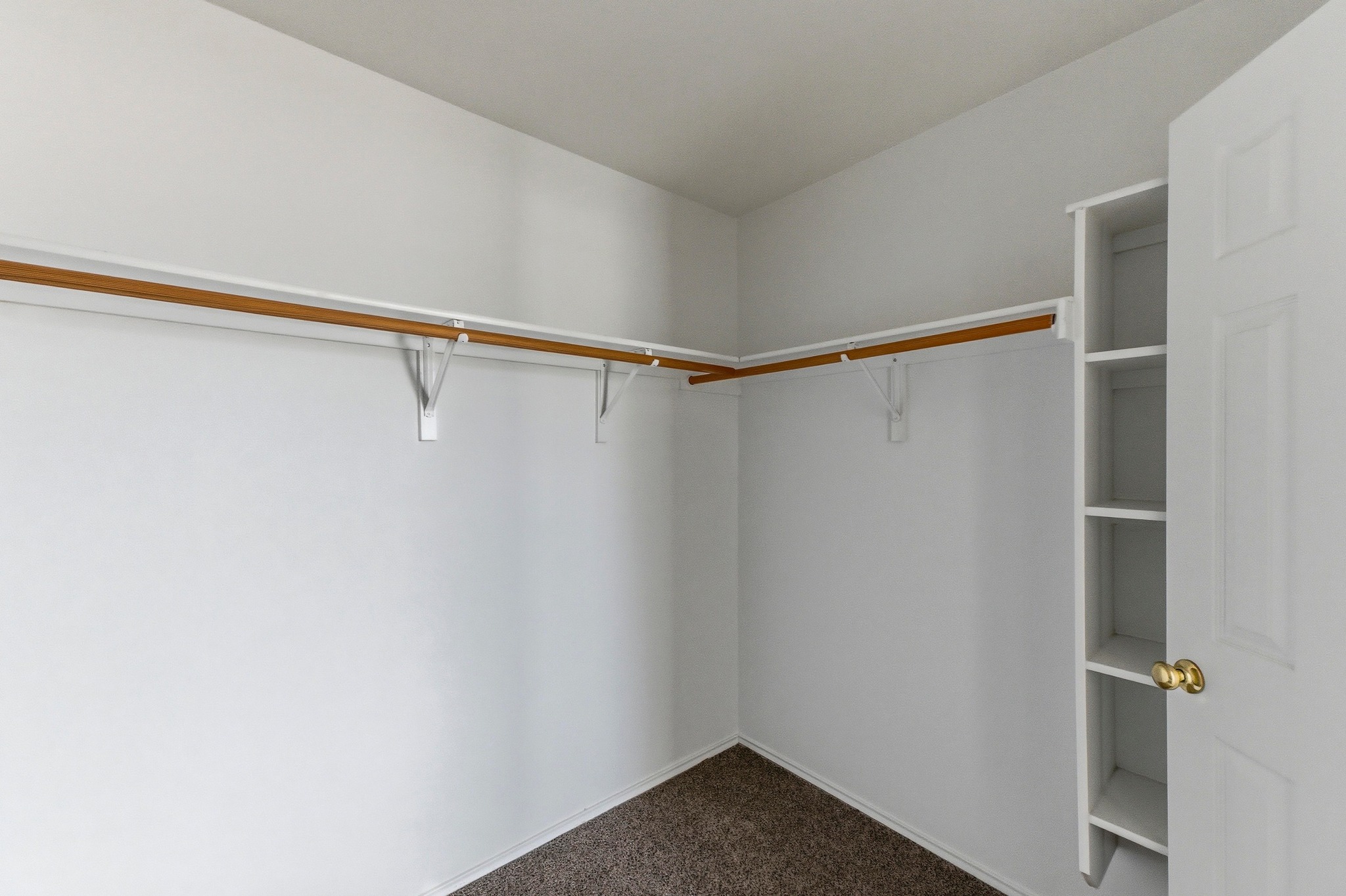 113 Spring Branch Cove Kyle, TX 78640 - Photo 18 of 33 Walk in closet featuring dark colored carpet