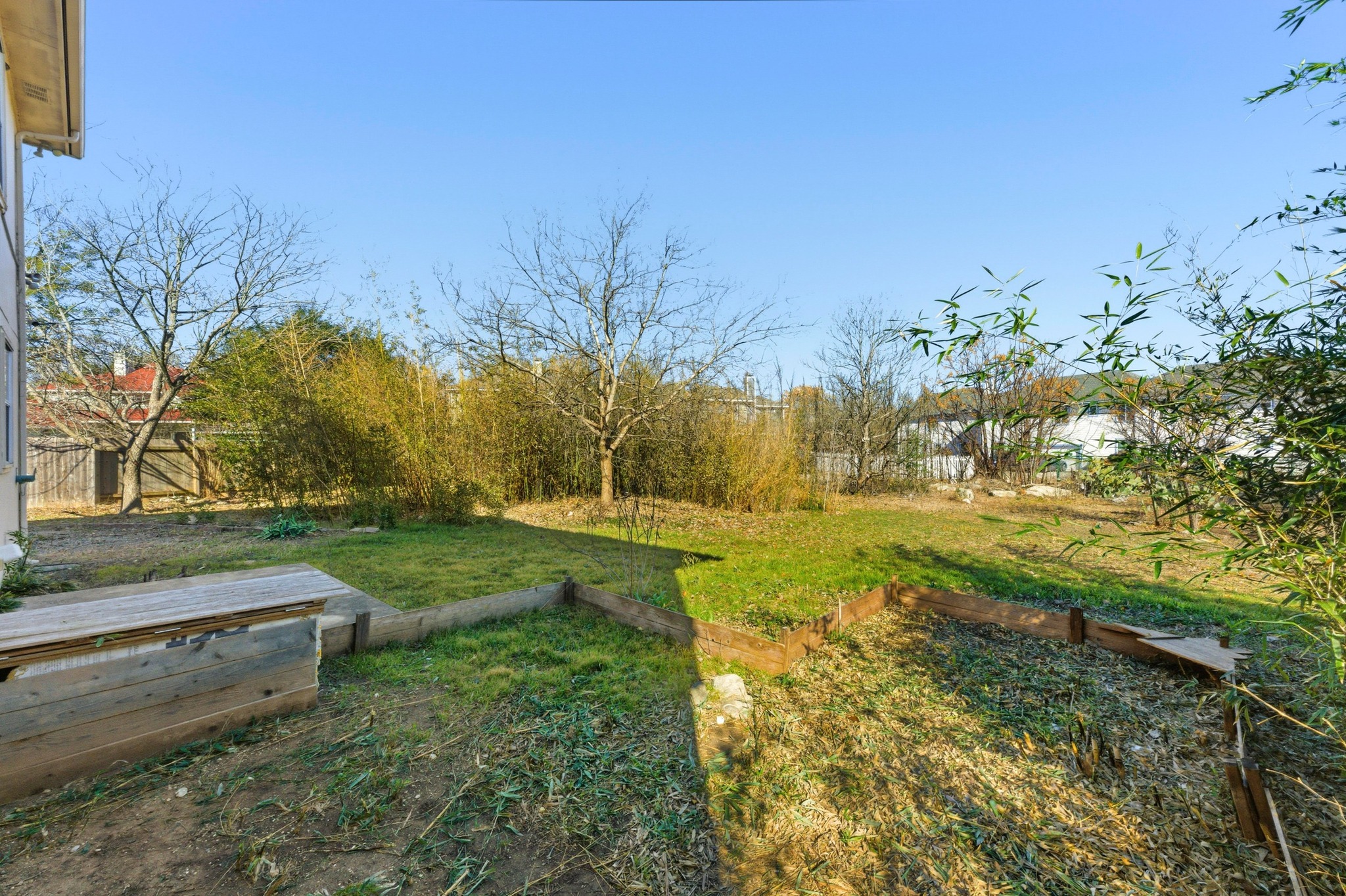 113 Spring Branch Cove Kyle, TX 78640 - Photo 29 of 33 View of yard