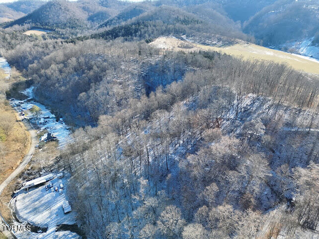 Tbd Sugar Run Road Cedar Bluff, VA 24609 - Photo 11 of 11 IMG_1425