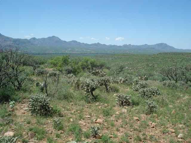 1835 Camino Amatista Rio Rico, AZ 85648 - Photo 2 of 5