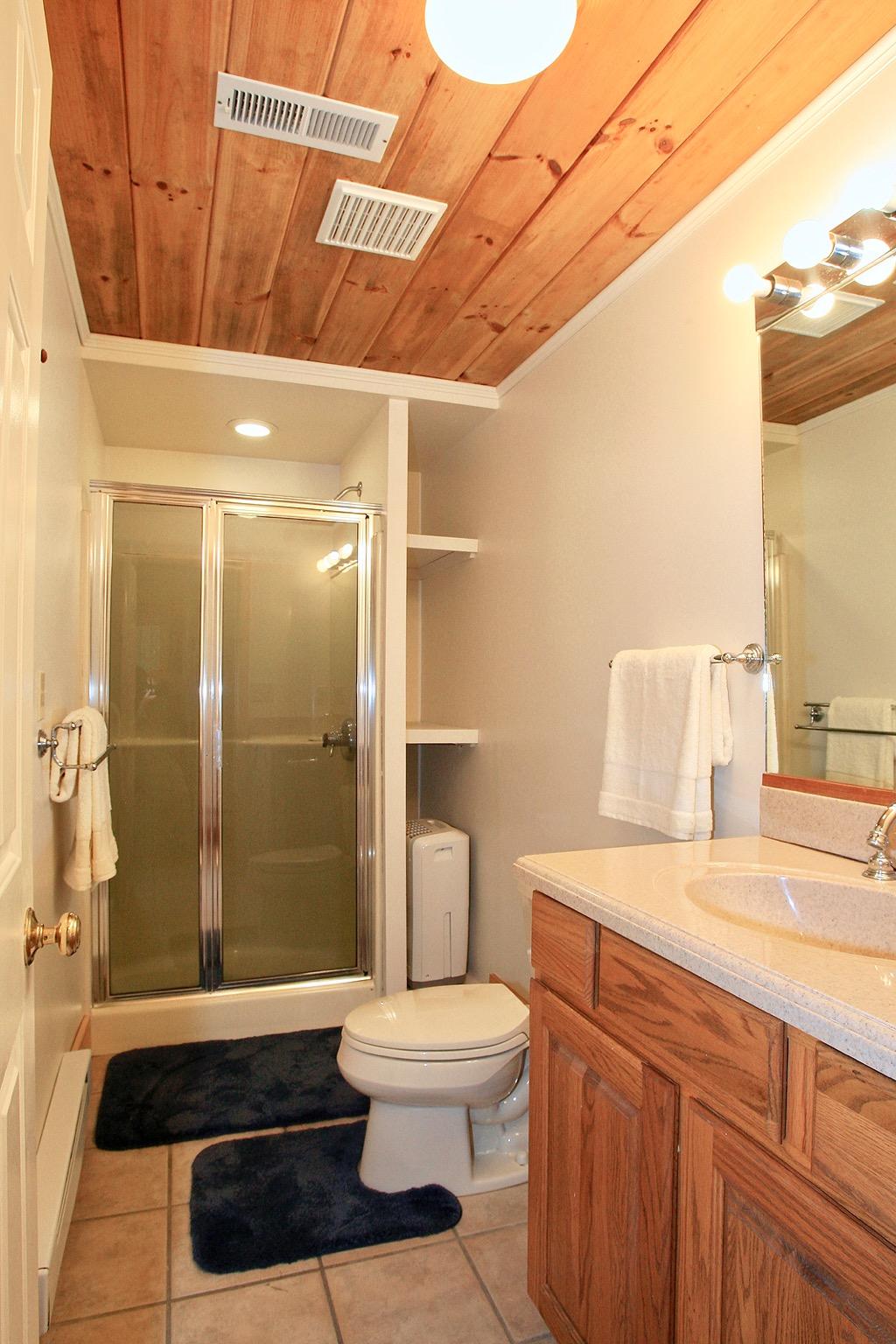 398 George Reed Lane Northwest Floyd, VA 24091 - Photo 40 of 61 a bathroom with a sink a toilet and shower