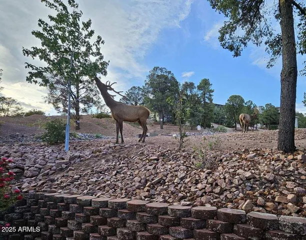 a view of a backyard with a garden