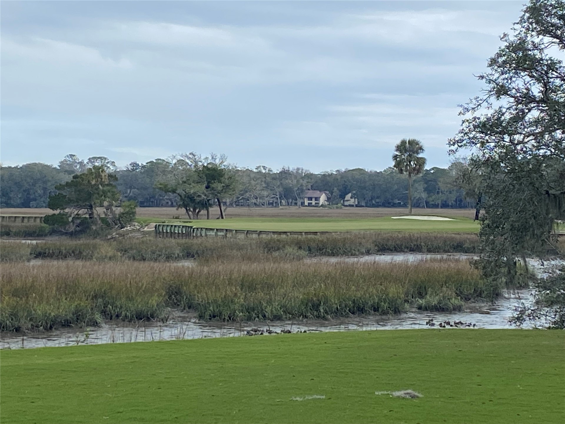 76 Marsh Creek Road Amelia Island, FL 32034 - Photo 63 of 100 a view of a lake with a mountain in the background