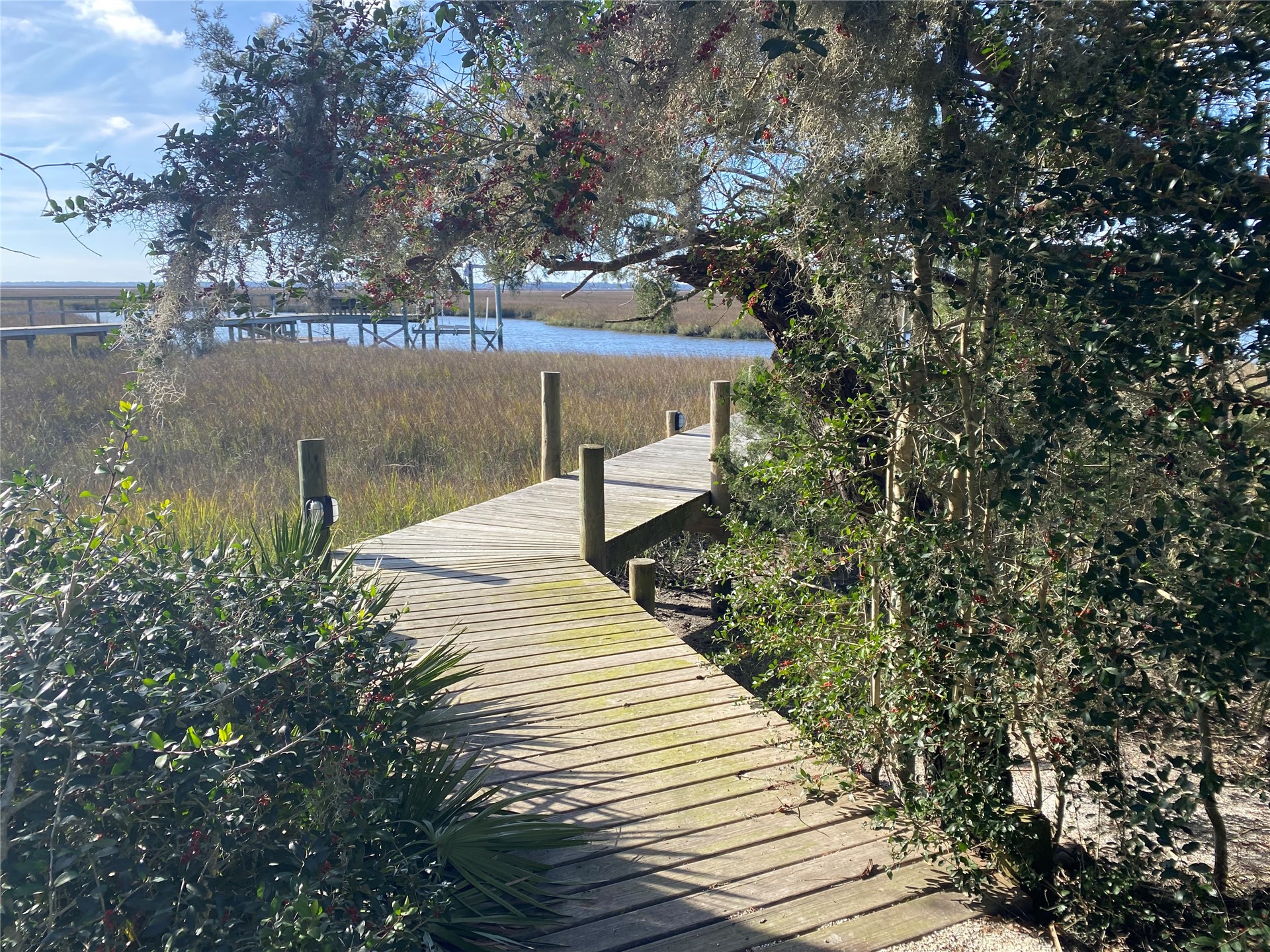 76 Marsh Creek Road Amelia Island, FL 32034 - Photo 64 of 100 a view of a house with a yard