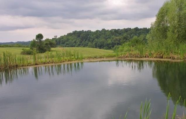1525 Jersey Ridge Road Zanesville, OH 43701 - Photo 12 of 13 Gallery Image 12