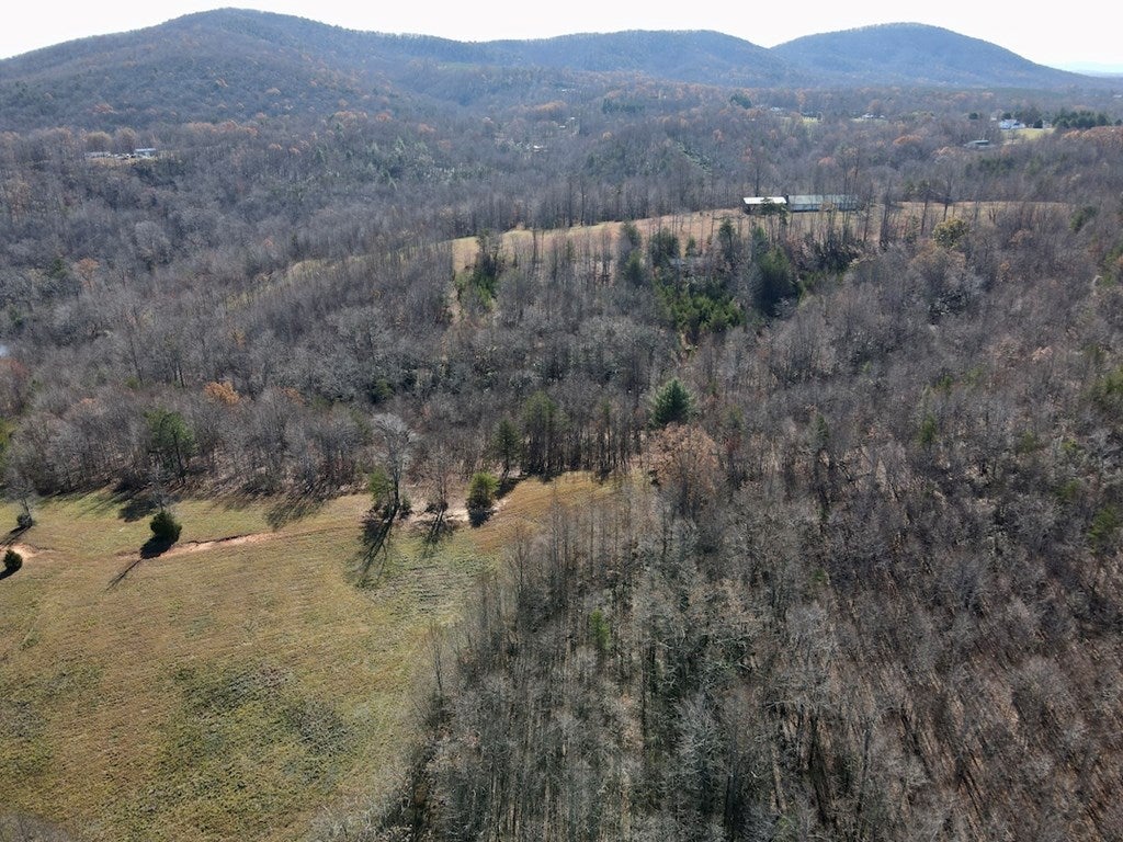 Old Mill Road Patrick Springs, VA 24133 - Photo 13 of 49 Gallery Image 13