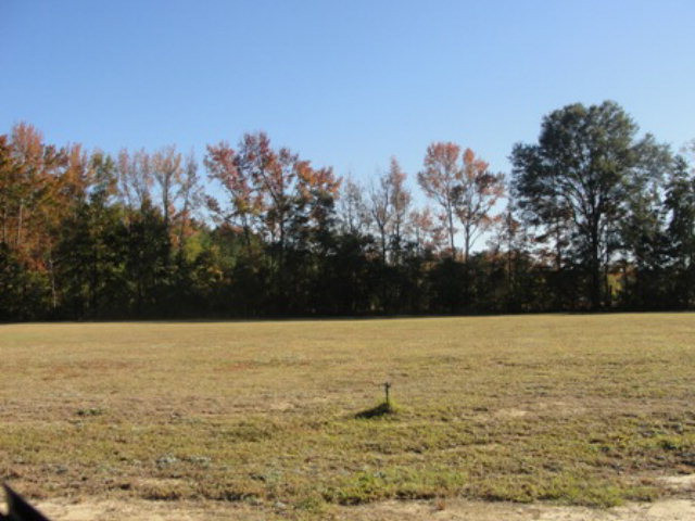 1607 Indiantown Road Kingstree, SC 29556 - Photo 1 of 1