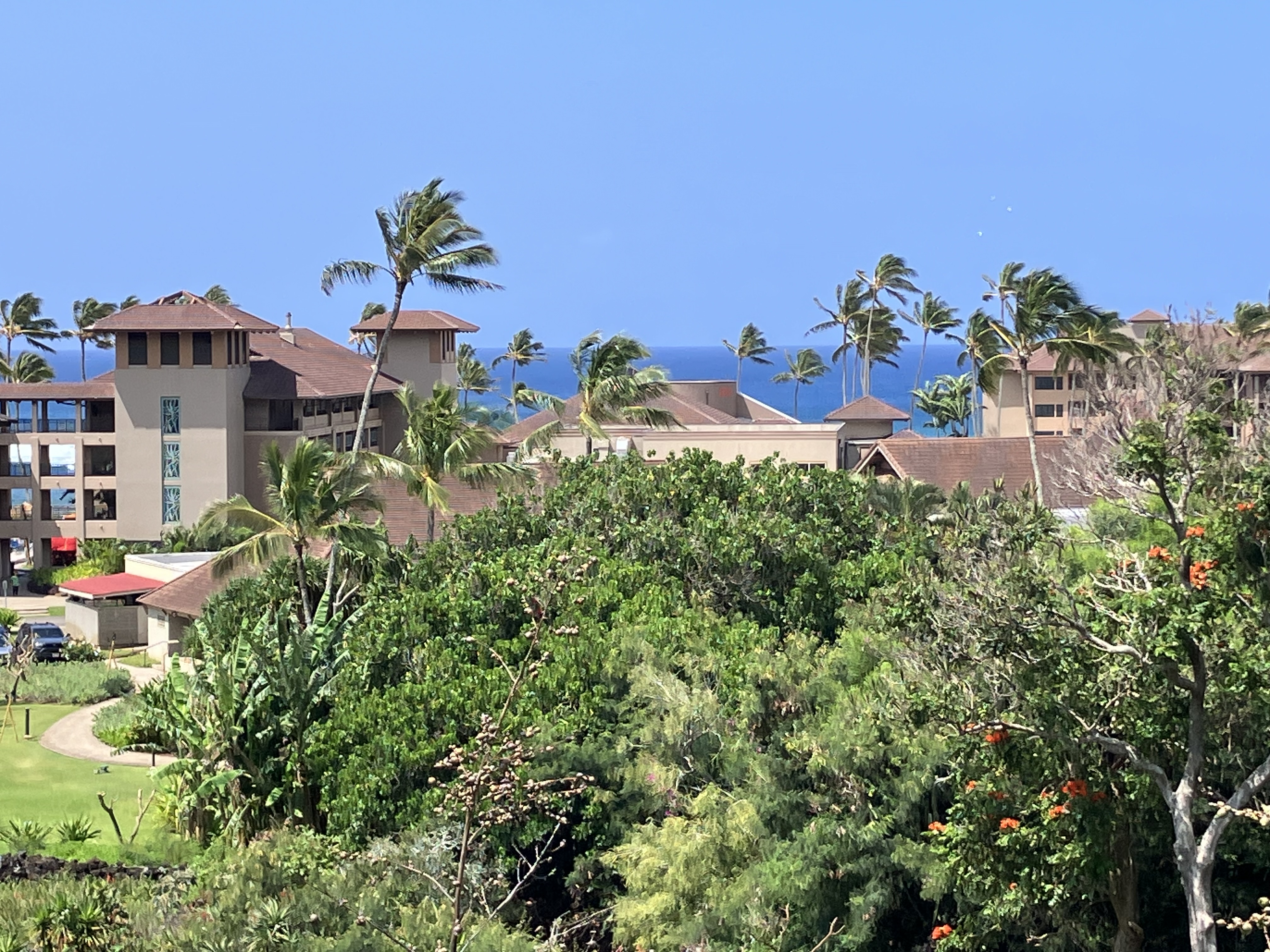2253 Poipu Road, Unit 335 Koloa, HI 96756 - Photo 29 of 30
