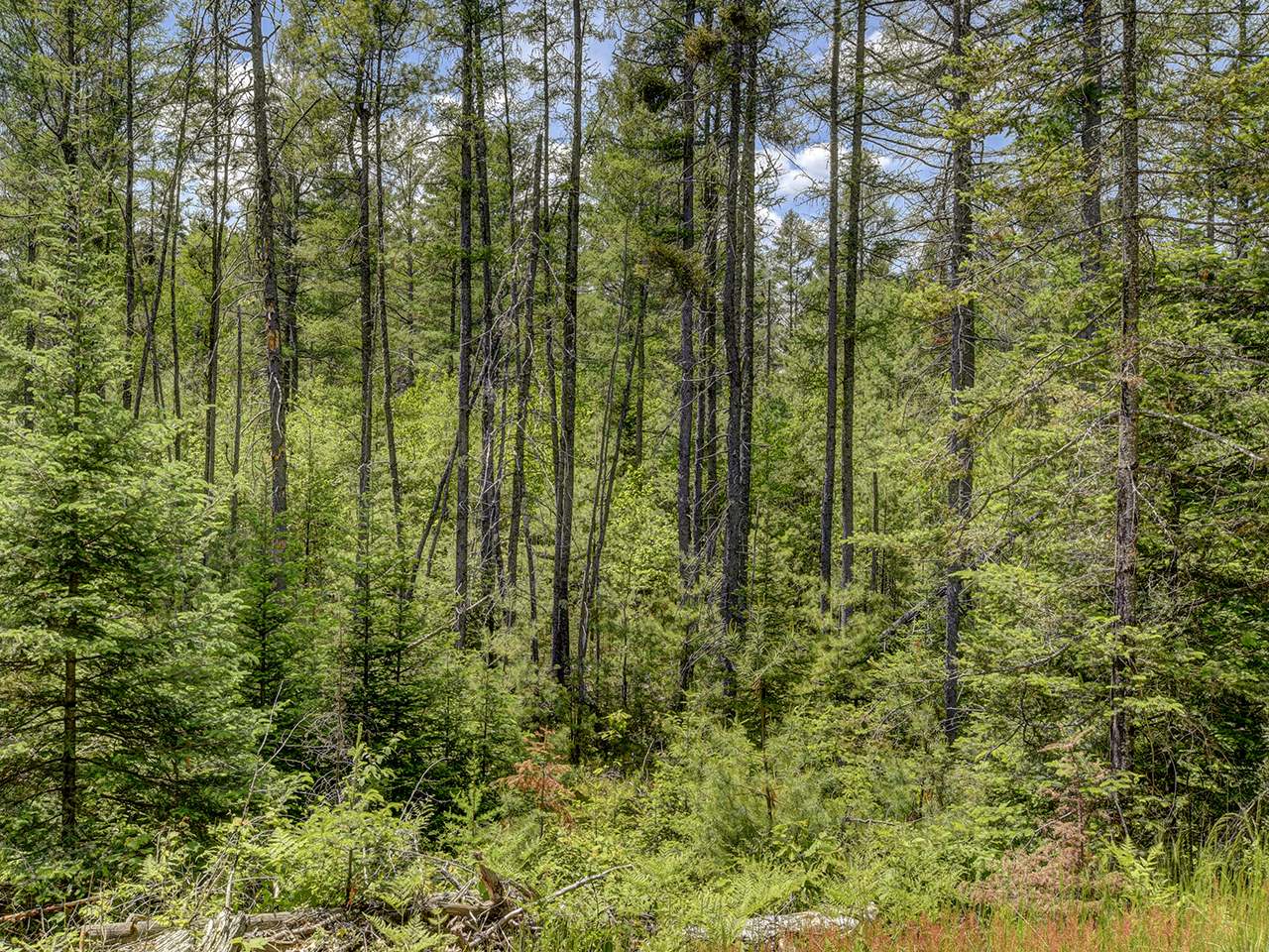 Off Church Road Conover, WI 54519 - Photo 10 of 11 Gallery Image 10
