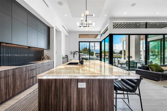 a view of a dining room with furniture one side kitchen view and a potted plant