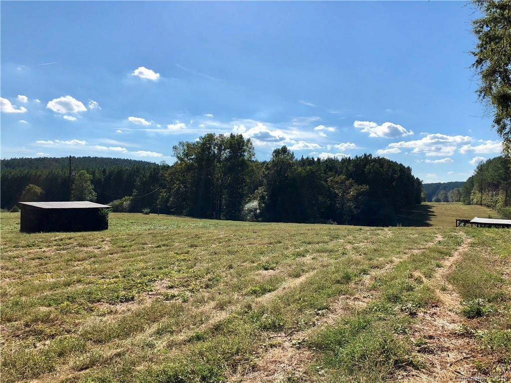 550 Jim Dobbins Road Rutherfordton, NC 28139 - Photo 25 of 35