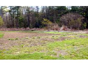53 West End Road Landaff, NH 03585 - Photo 3 of 3