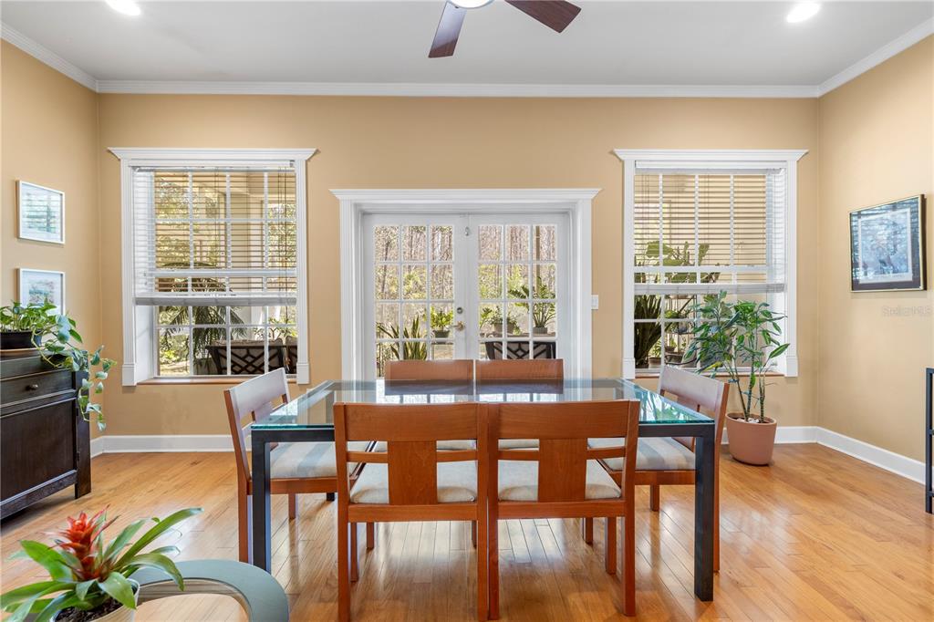11951 Sheldon Road Tampa, FL 33626 - Photo 14 of 51 a view of a dining room with furniture window and wooden floor