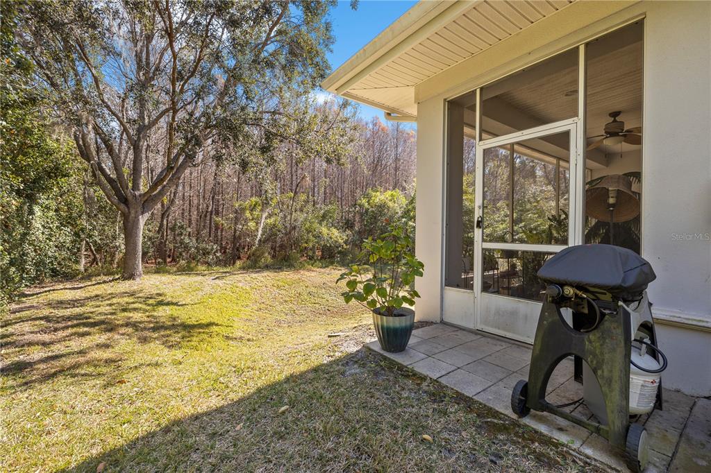 11951 Sheldon Road Tampa, FL 33626 - Photo 35 of 51 a view of a outdoor space with a backyard