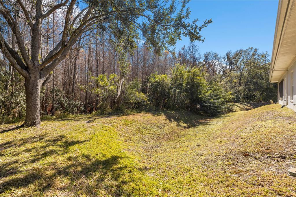 11951 Sheldon Road Tampa, FL 33626 - Photo 38 of 51 a view of a yard covered with snow in front of house