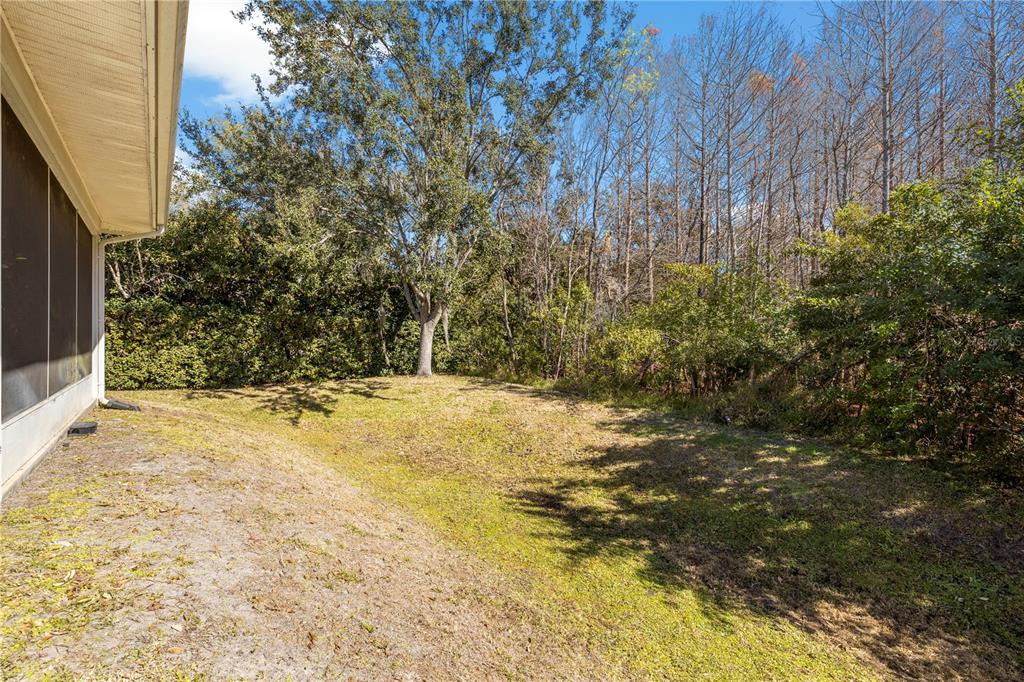 11951 Sheldon Road Tampa, FL 33626 - Photo 39 of 51 a view of yard
