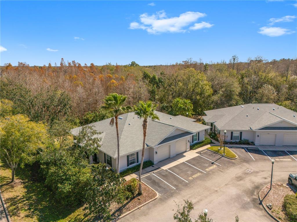11951 Sheldon Road Tampa, FL 33626 - Photo 43 of 51 a view of houses with a swimming pool and mountains