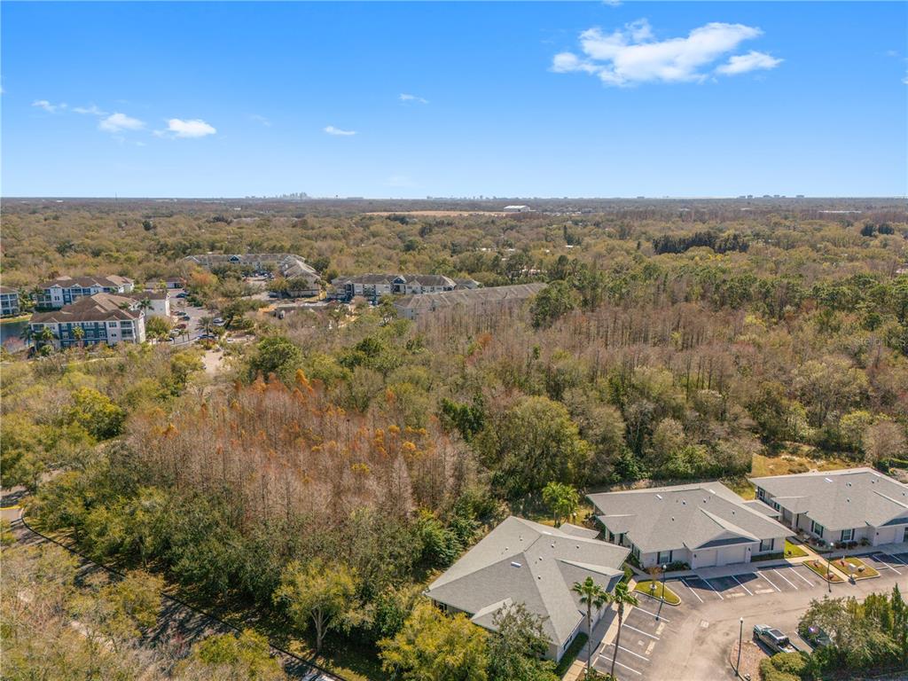 11951 Sheldon Road Tampa, FL 33626 - Photo 49 of 51 an aerial view of a house with a yard