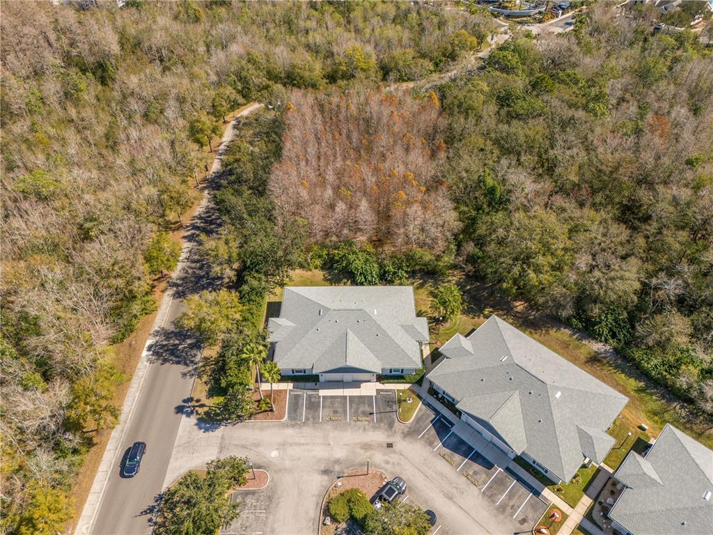 11951 Sheldon Road Tampa, FL 33626 - Photo 50 of 51 an aerial view of a house with a yard