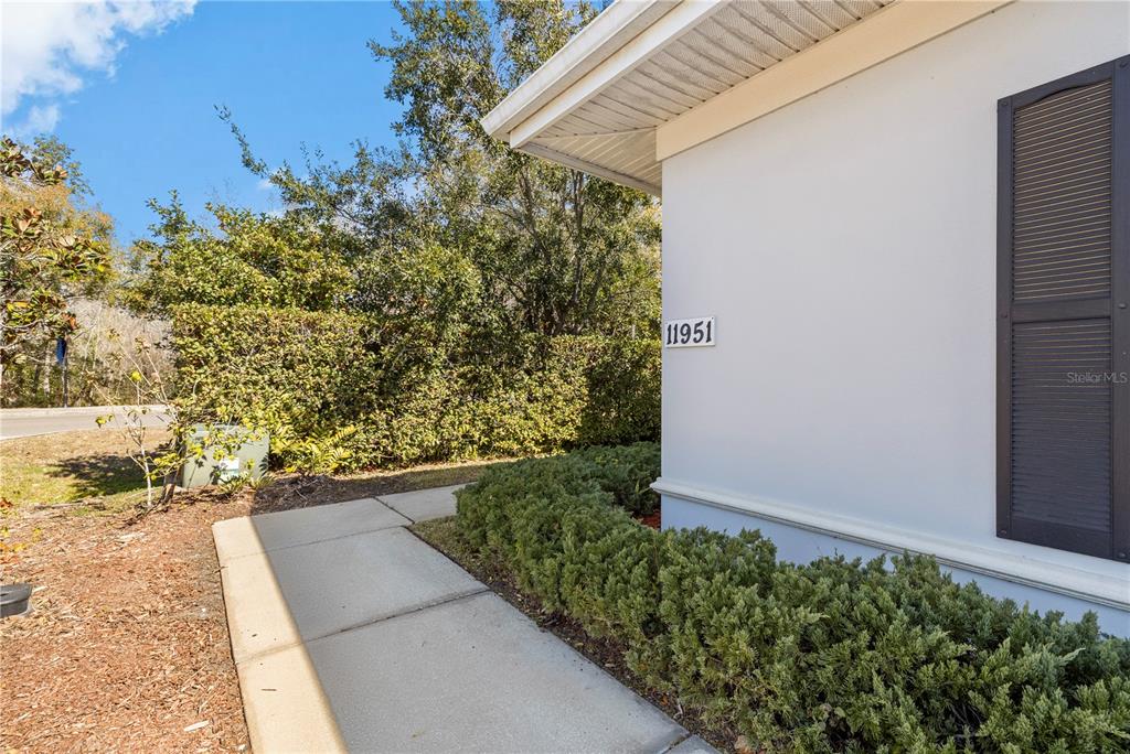 11951 Sheldon Road Tampa, FL 33626 - Photo 5 of 51 a view of a backyard