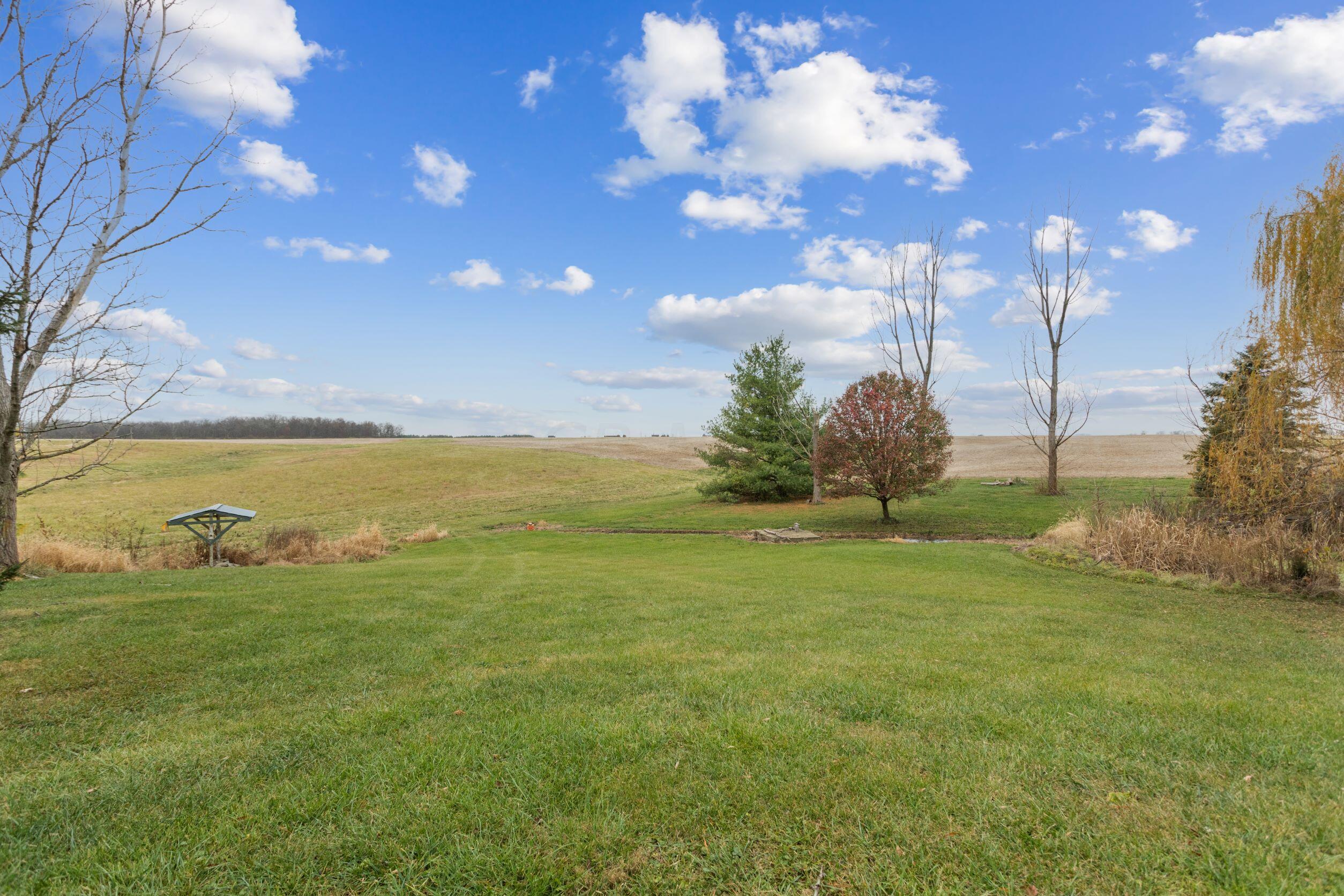 8229 State Rte 207 Mount Sterling, OH 43143 - Photo 27 of 39 Backyard