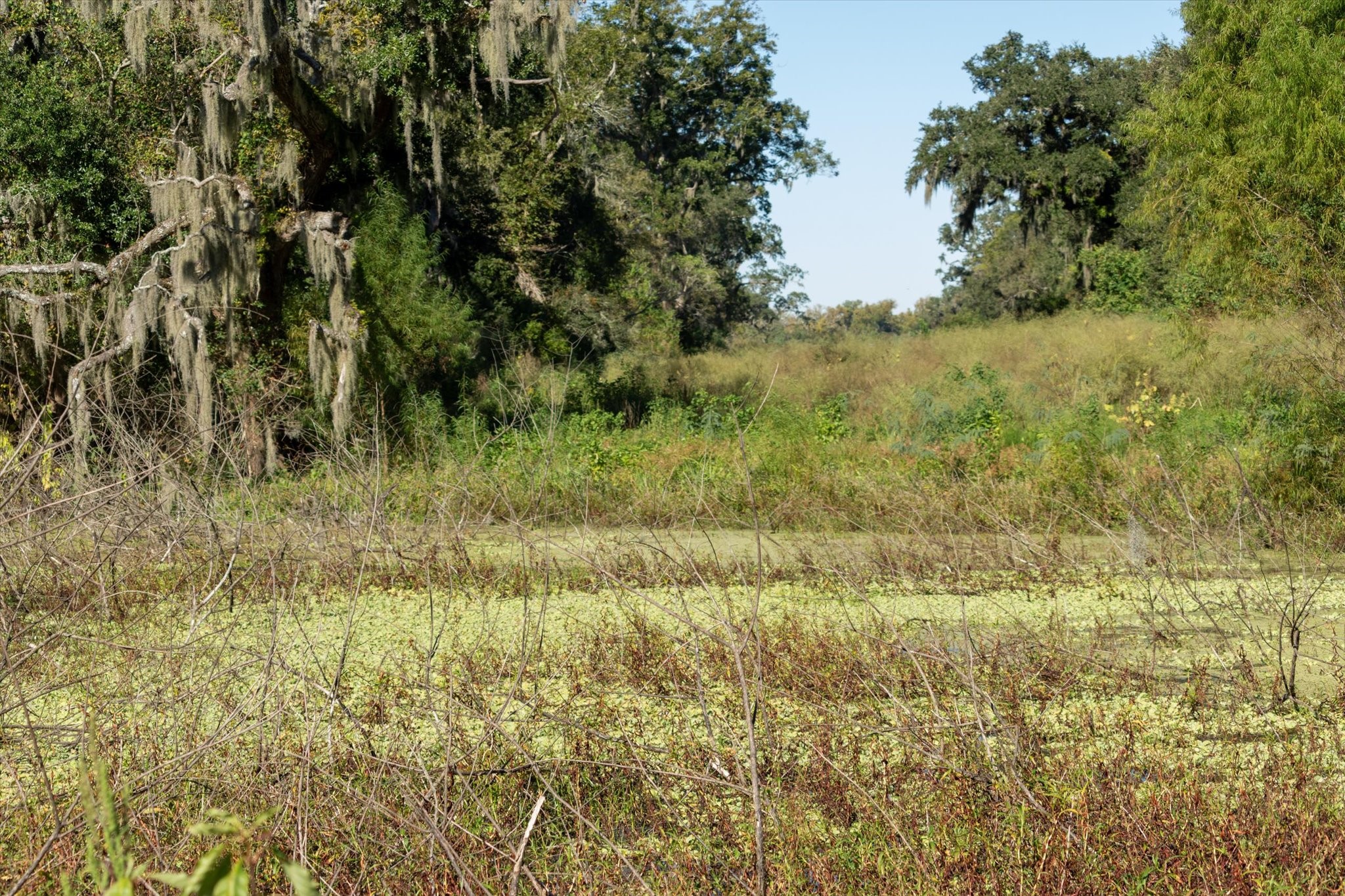 0 Cr 611 Angleton Tx 77515 Angleton, TX 77515 - Photo 23 of 33
