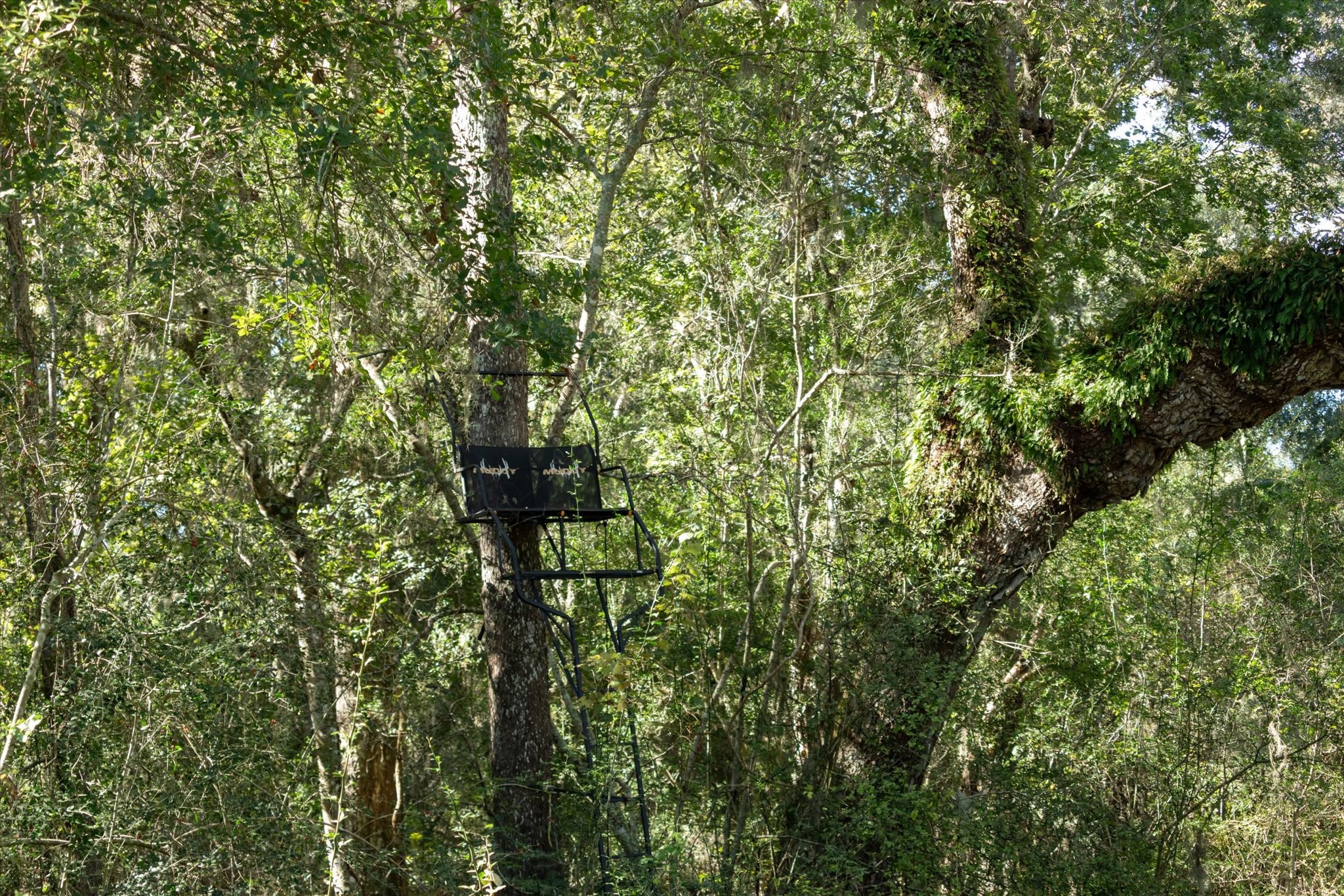 0 Cr 611 Angleton Tx 77515 Angleton, TX 77515 - Photo 30 of 33 a view of a house with a tree