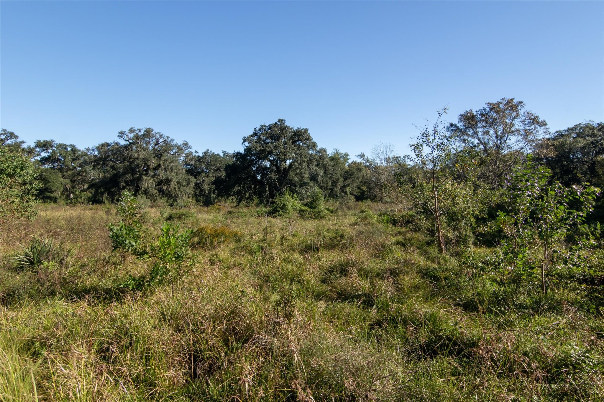 0 Cr 611 Angleton Tx 77515 Angleton, TX 77515 - Photo 3 of 33 a view of a lake with a mountain in the background