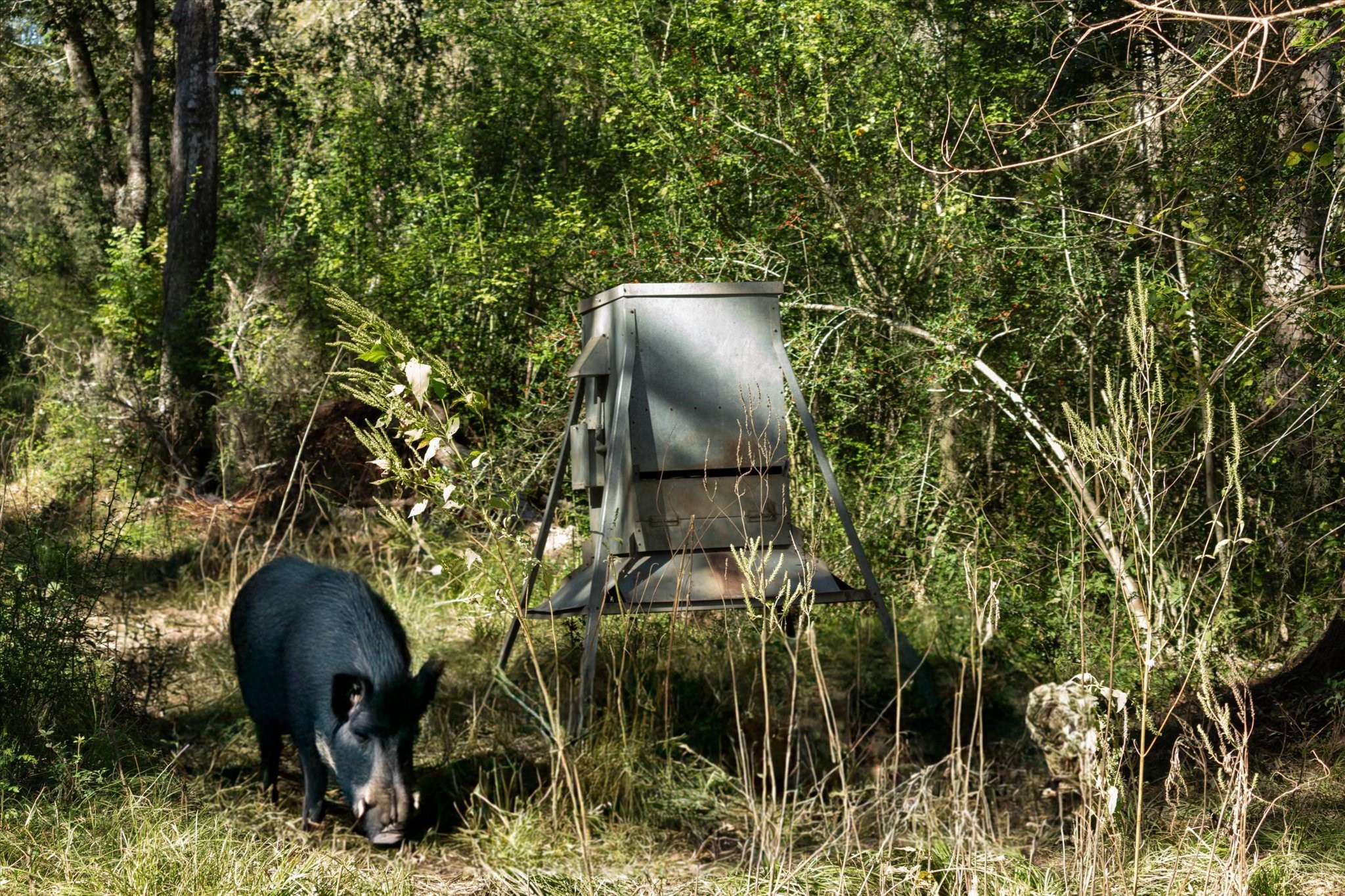 0 Cr 611 Angleton Tx 77515 Angleton, TX 77515 - Photo 31 of 33 a backyard of a house with table and chairs and potted plants