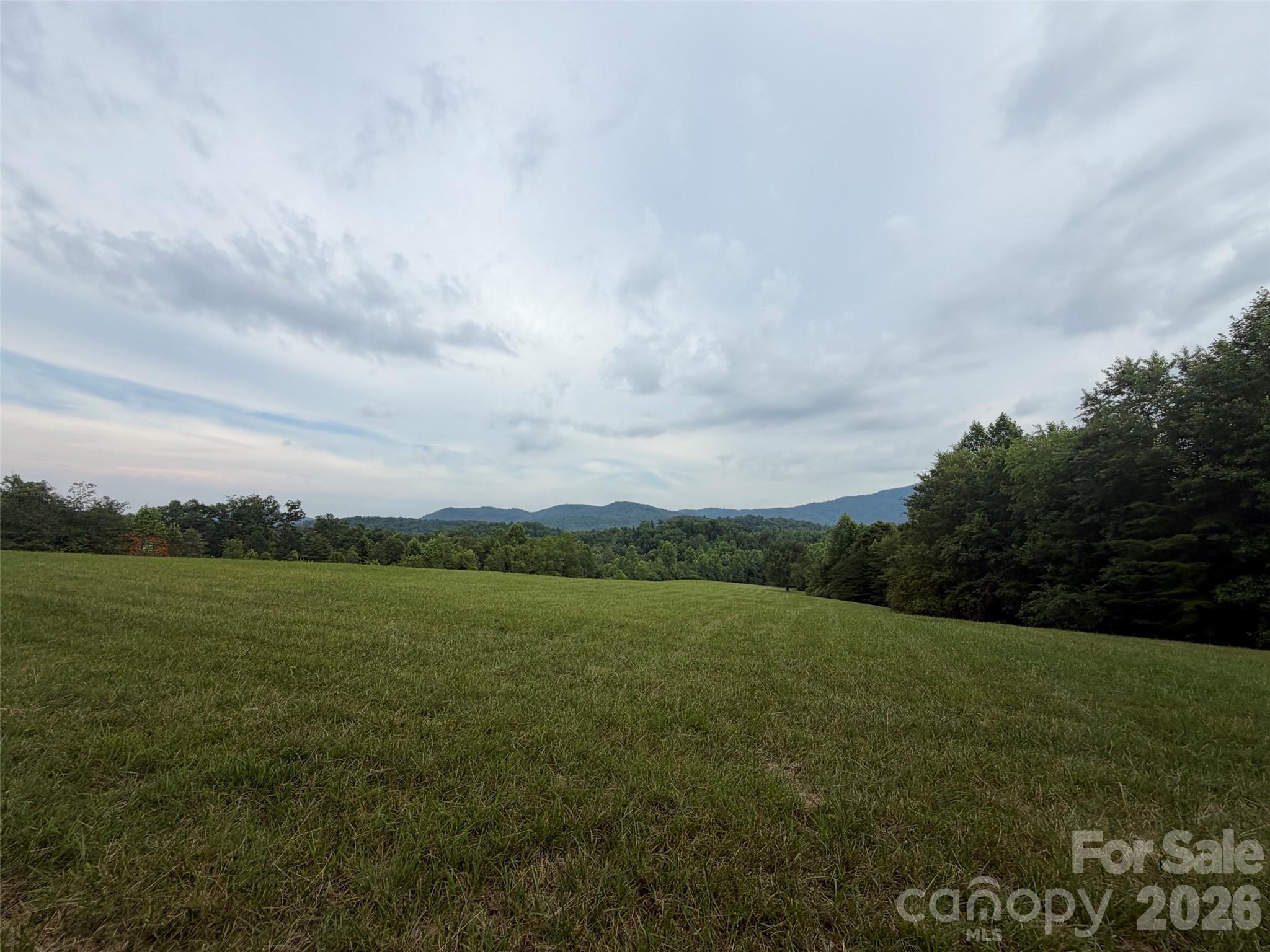 Lot 7 Parker Padgett Road Old Fort, NC 28762 - Photo 8 of 13