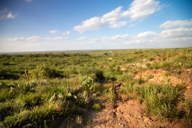 view of city and green space