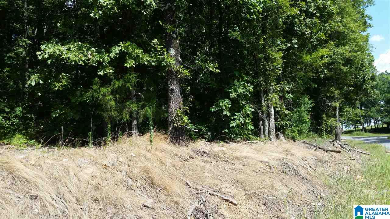 1885 Brooks Lake Road Lincoln, AL 35096 - Photo 29 of 30