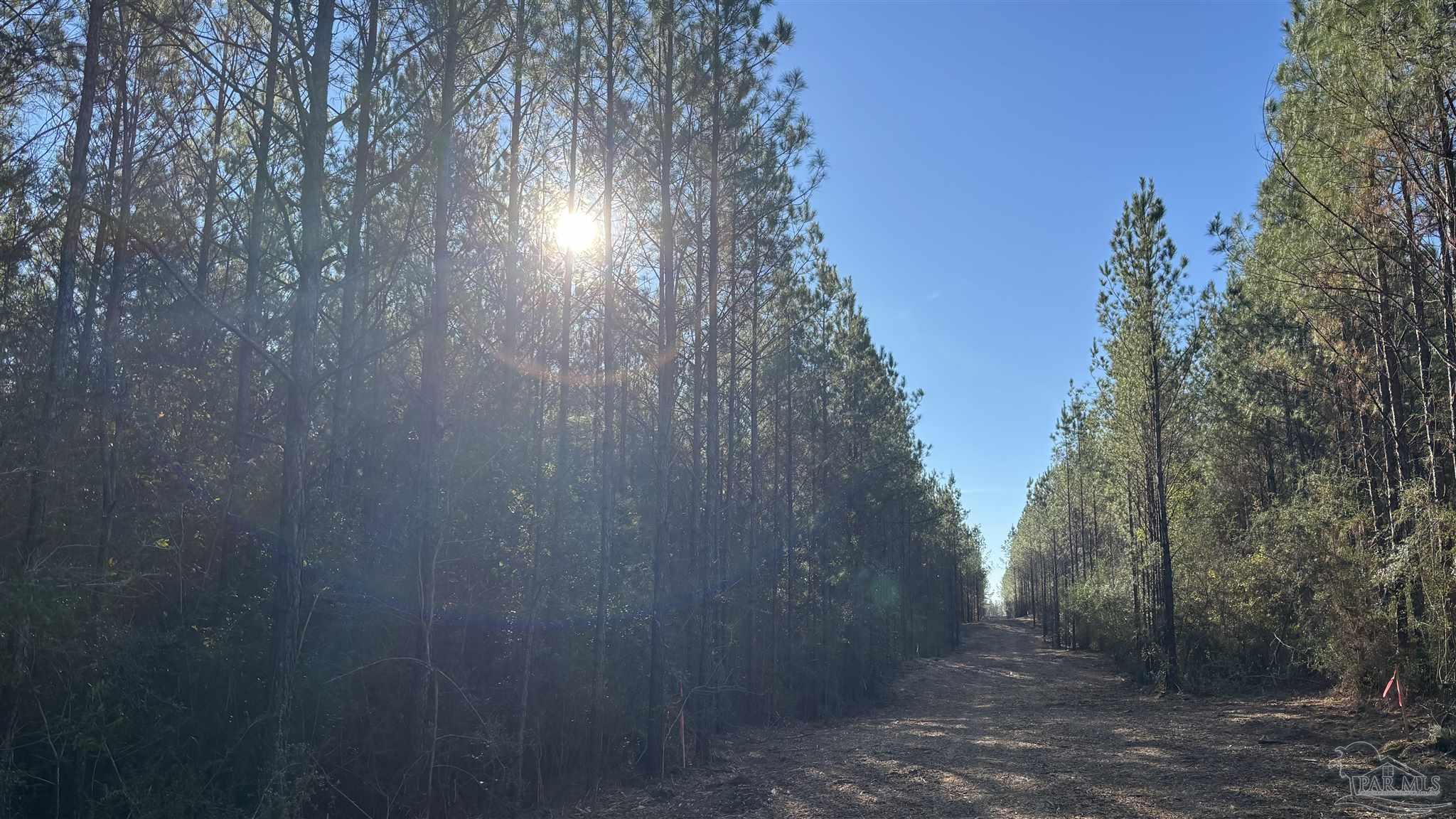 Lot 62 Straw Bridge Road Jay, FL 32565 - Photo 4 of 7