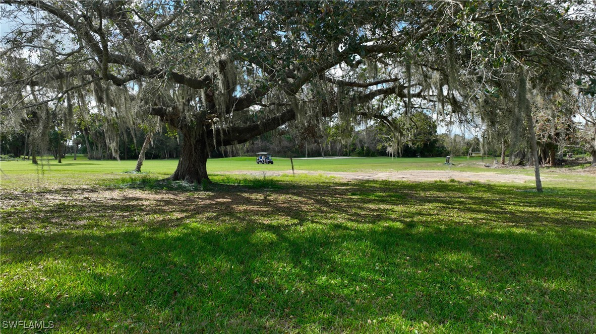 8 Park Ln Circle Lehigh Acres, FL 33936 - Photo 37 of 47 a view of a park with a tree