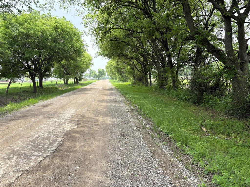 437 County Road 437 Eddy, TX 76524 - Photo 12 of 16 a view of a yard with a tree