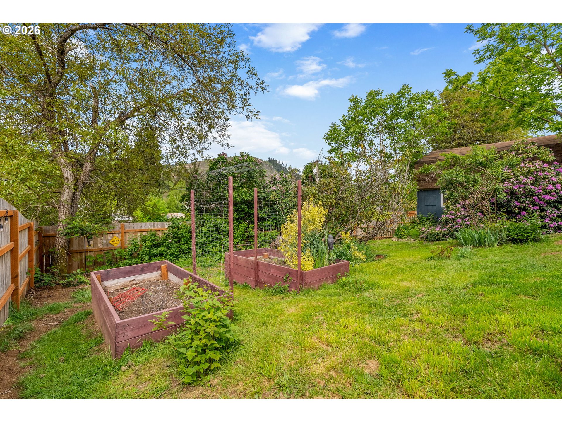11 2nd Street Carson, WA 98610 - Photo 25 of 40 a view of a backyard with couches plants and large tree