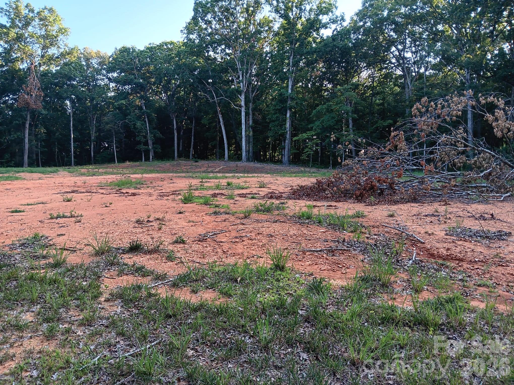 11610 Brief Road, Unit 2 Charlotte, NC 28227 - Photo 5 of 16 a backyard of a house with large trees