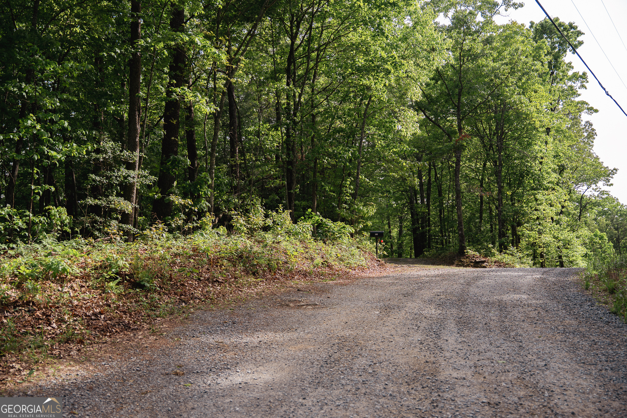 Tract 1 Century Lane Blue Ridge, GA 30513 - Photo 11 of 43