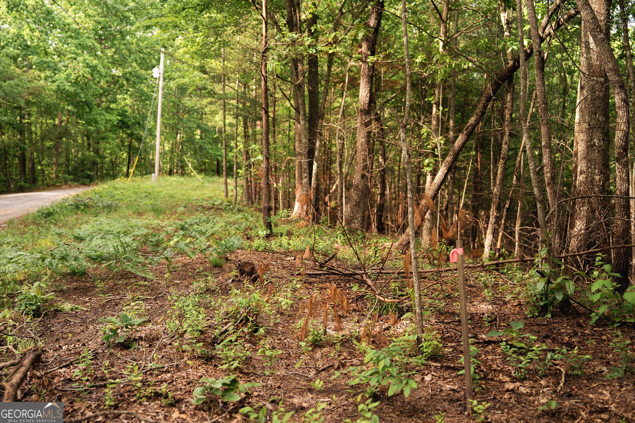 Tract 1 Century Lane Blue Ridge, GA 30513 - Photo 16 of 43