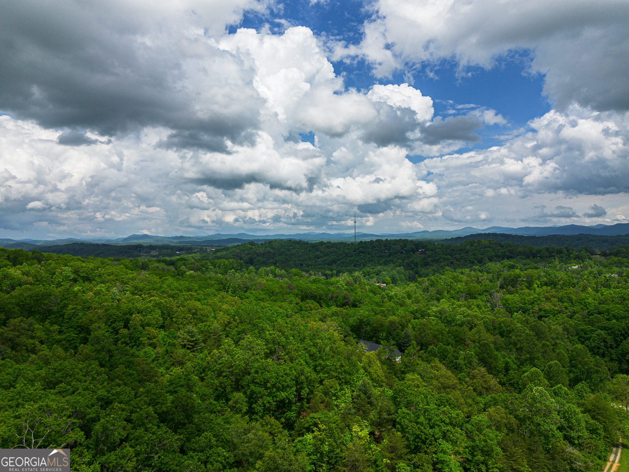 Tract 1 Century Lane Blue Ridge, GA 30513 - Photo 2 of 43