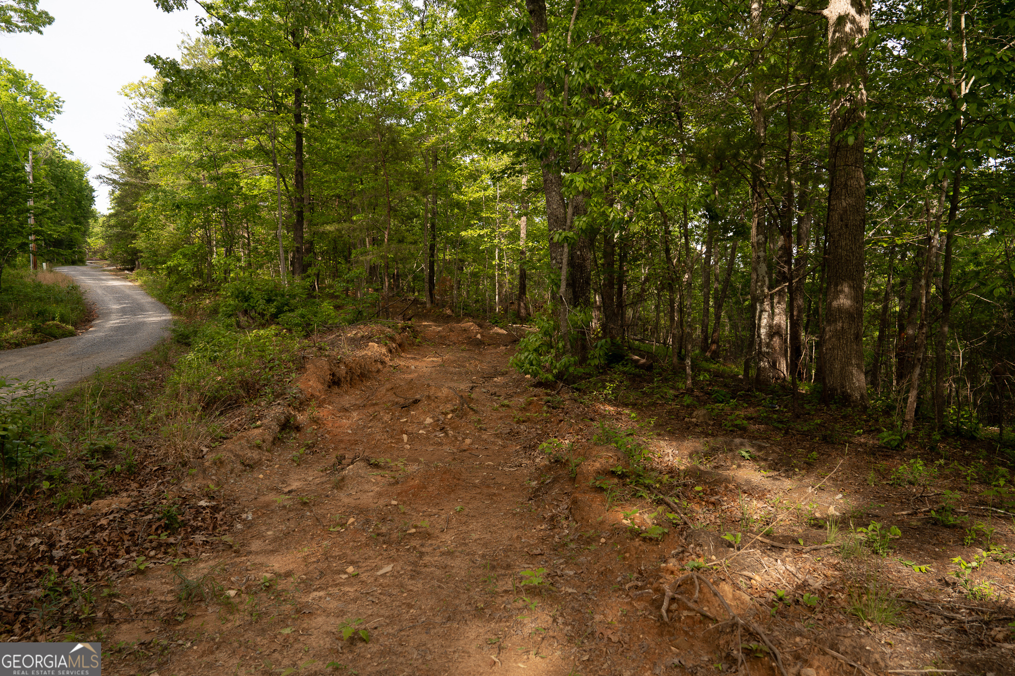 Tract 1 Century Lane Blue Ridge, GA 30513 - Photo 22 of 43